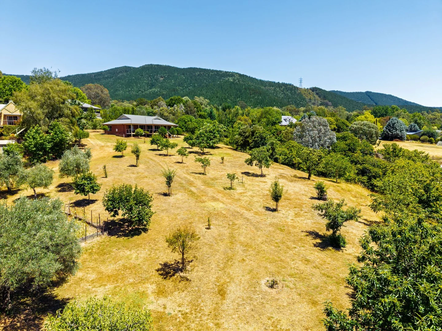 Additional image 24 of 1 James Close, Bright VIC 3741