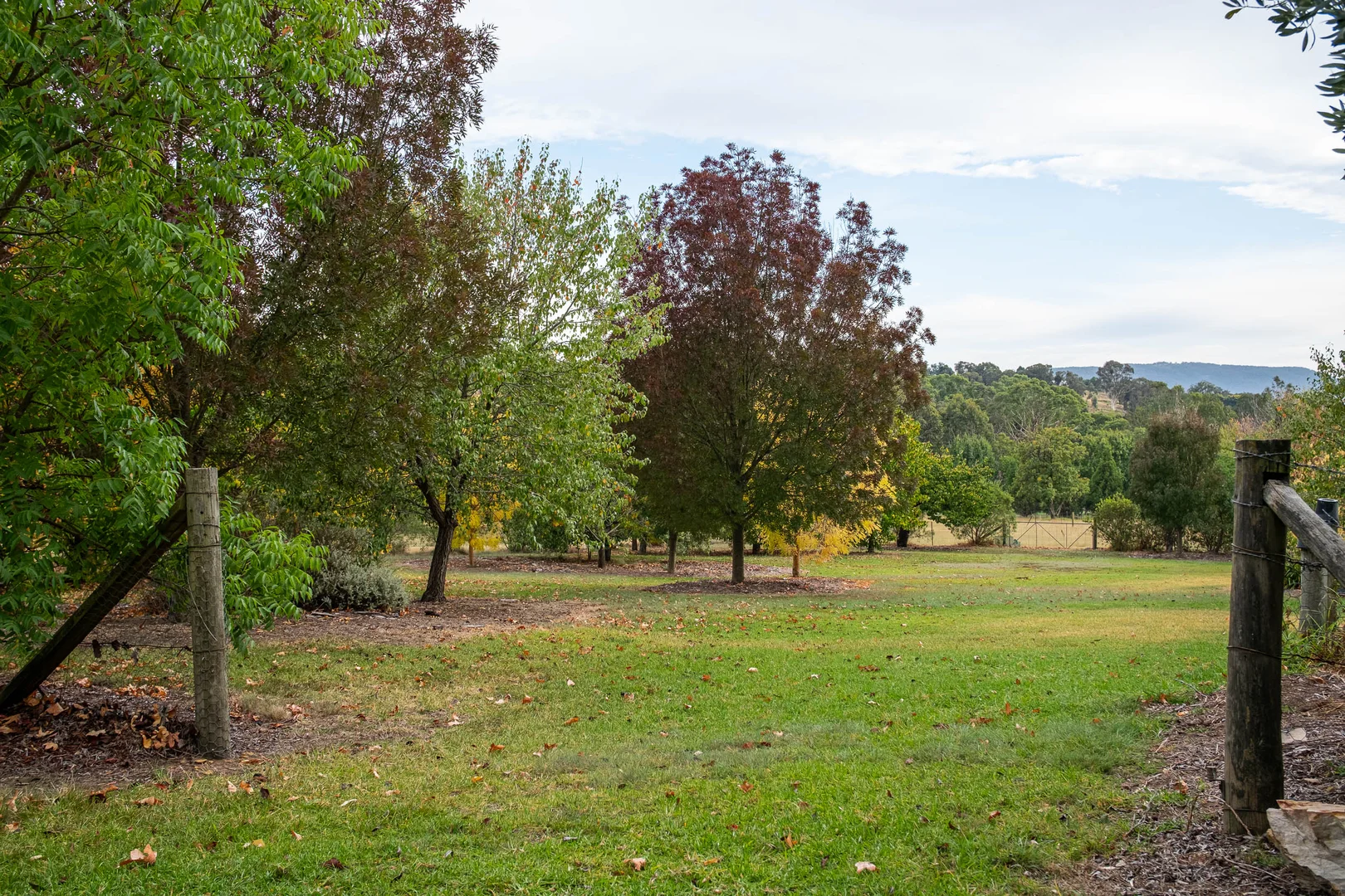 Additional image 33 of 67 Gorman Road, Goulburn NSW 2580