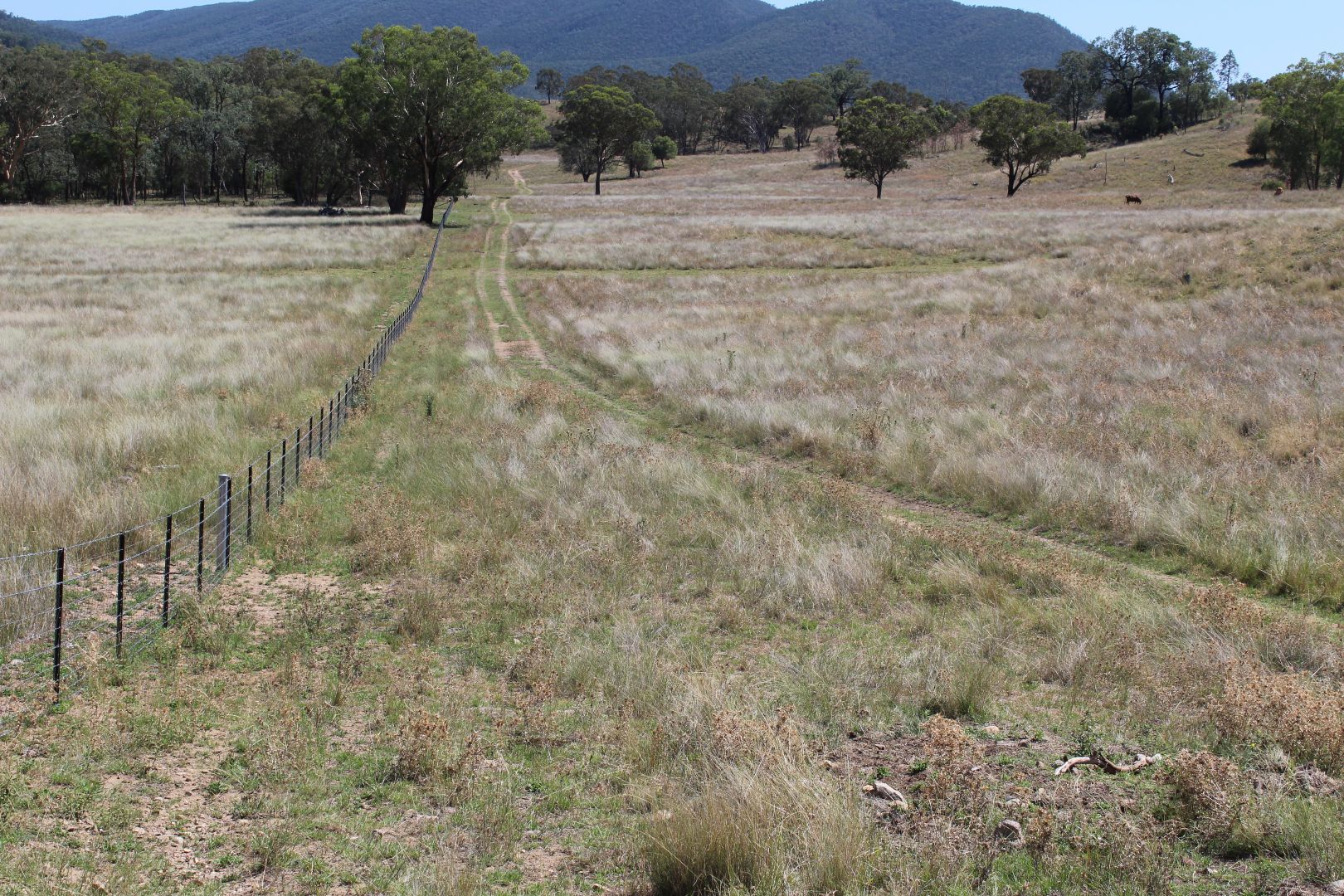 "High Valley" 243 Back Creek Road, Narrabri NSW 2390, Image 1