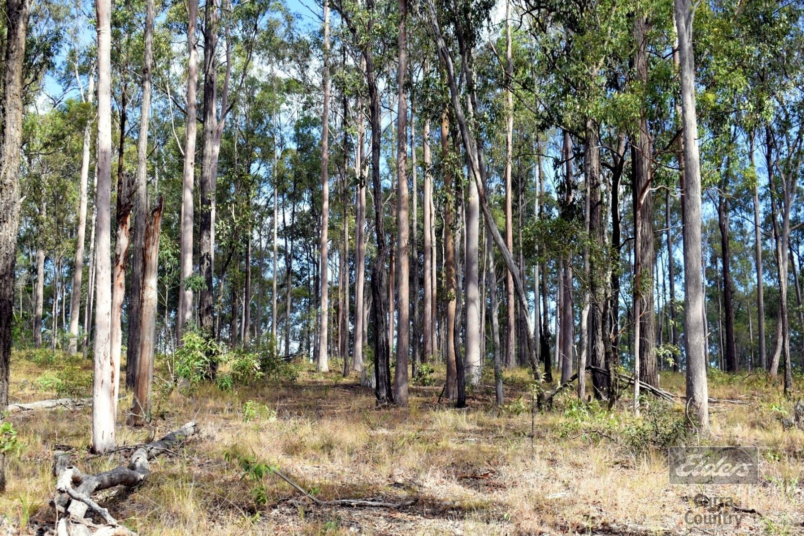 Lot 111 Deephouse Road, Bauple QLD 4650, Image 1