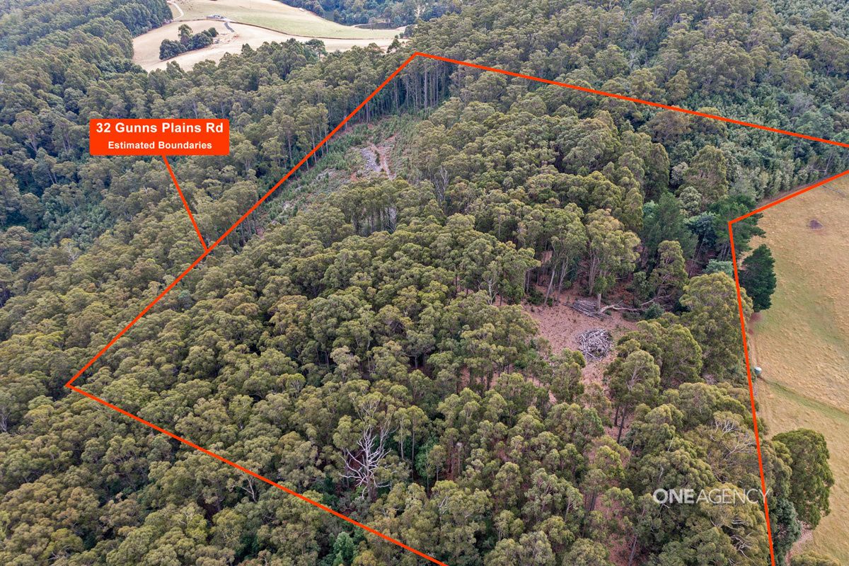 32 Gunns Plains Road, North Motton TAS 7315 House for Sale Domain