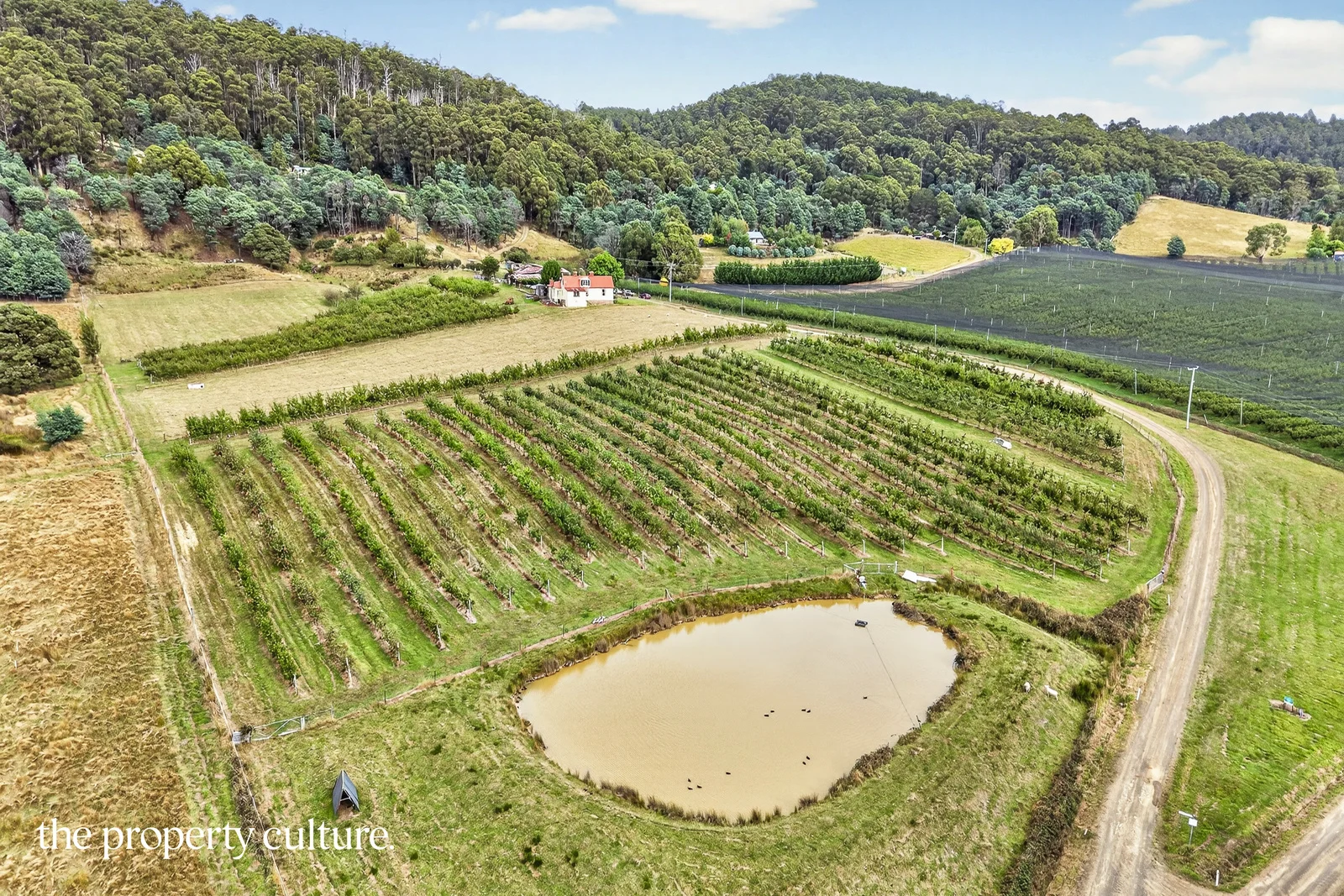 Additional image 21 of 25 Triffets Lane, Castle Forbes Bay TAS 7116