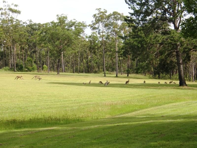 Lot 101 , 31 Pinnacles Road, THE PINNACLES NSW 2460, Image 2