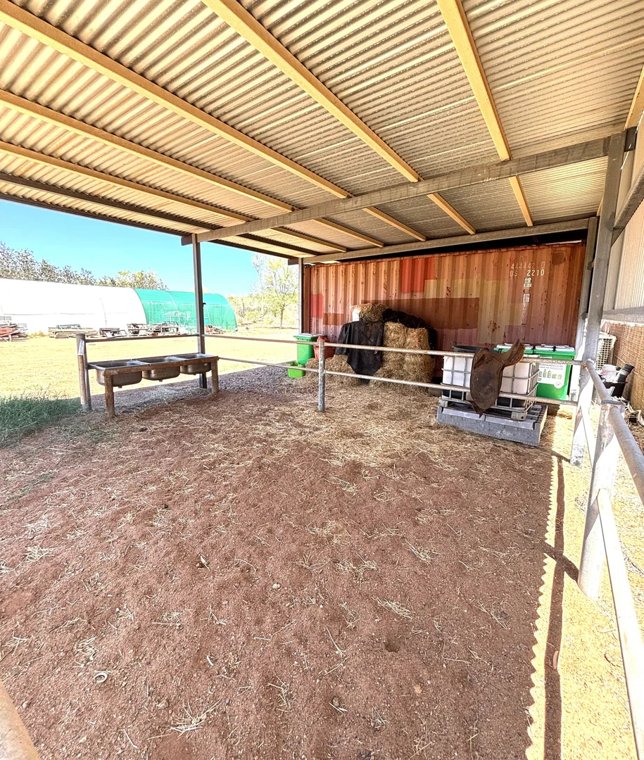 Additional image 46 of 163 Boor Street, Kingsford WA 6701