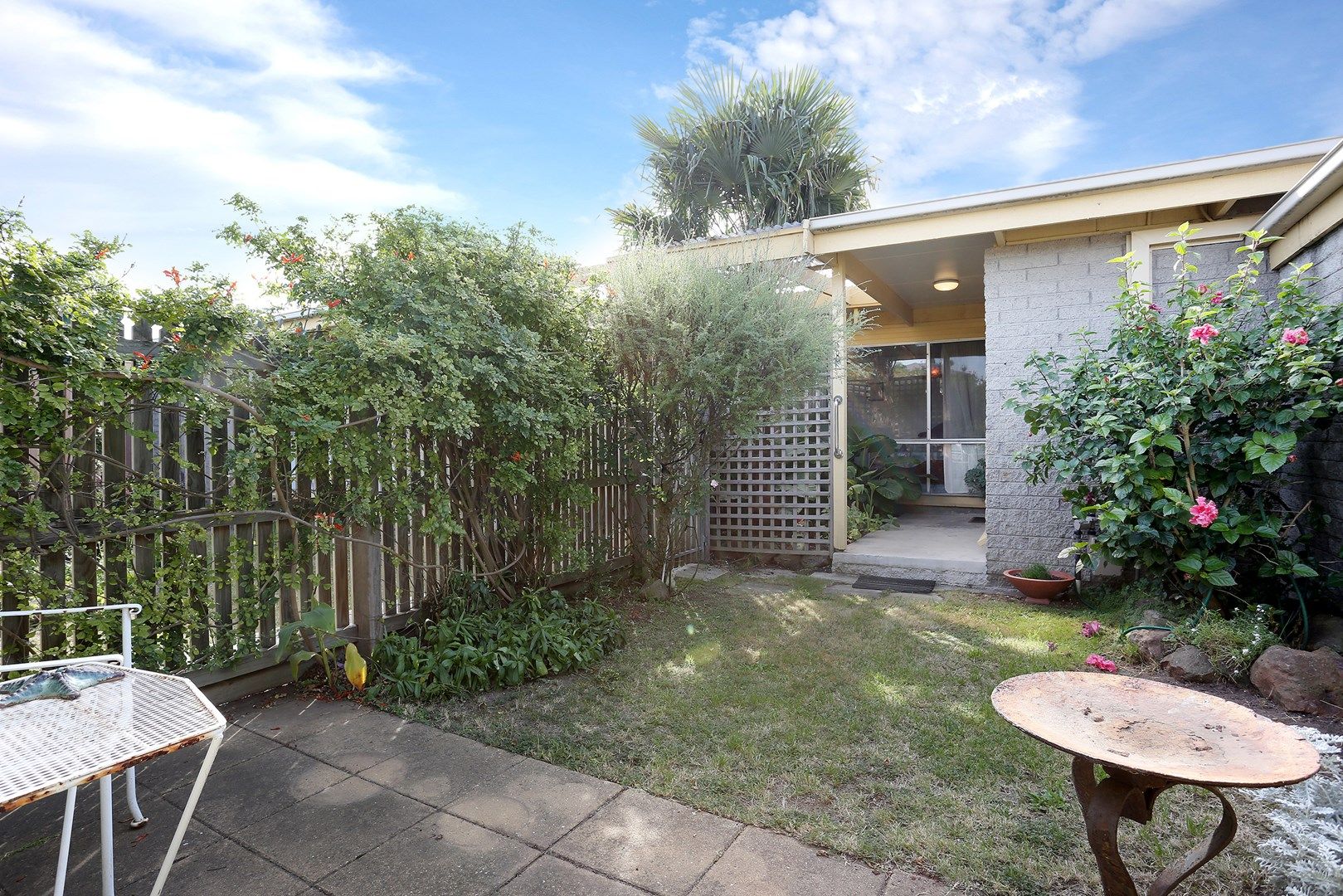 8/368-372 Autumn Street, Herne Hill VIC 3218, Image 0