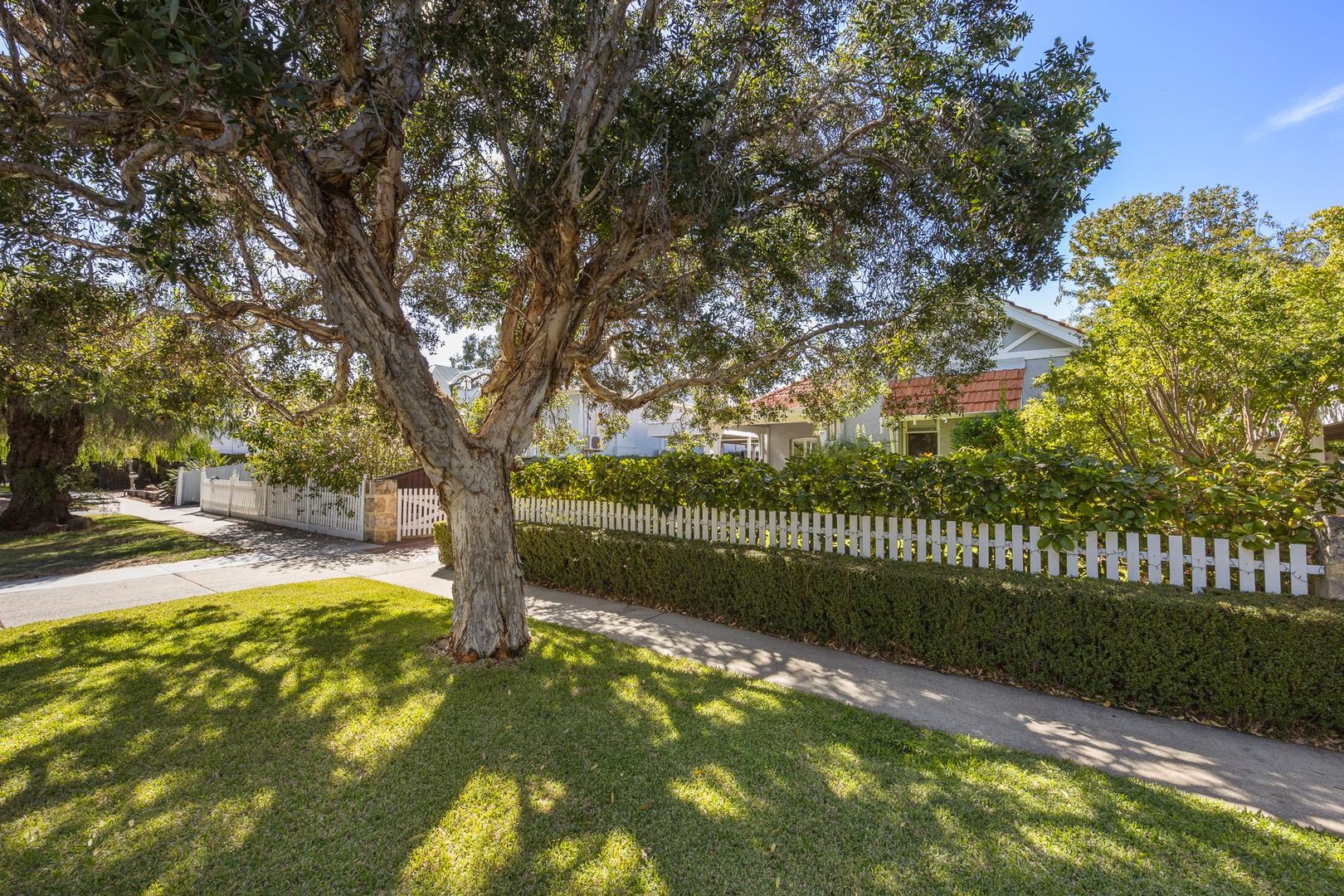 18 Austin Street, Shenton Park WA 6008, Image 1