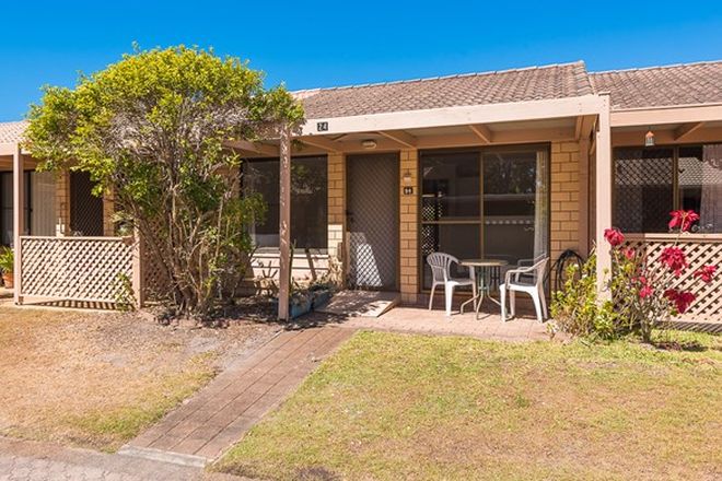 Picture of 24/139 Moorindil Street, TEWANTIN QLD 4565