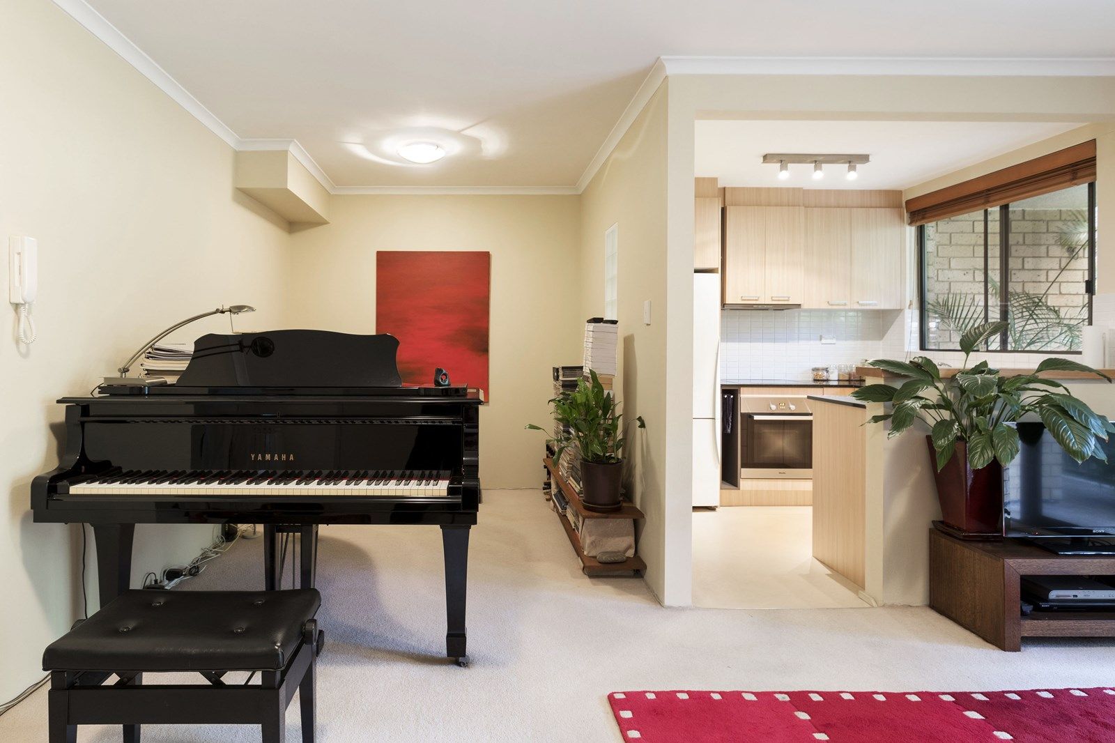 53/1-19 Allen Street, Pyrmont NSW 2009, Image 1