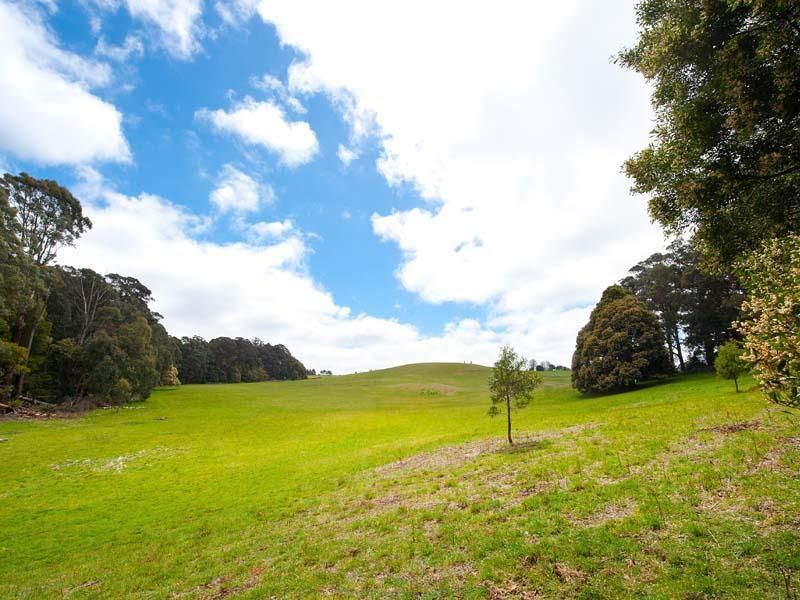 Lot 2 Lynchs Road, BULLARTO VIC 3461, Image 2