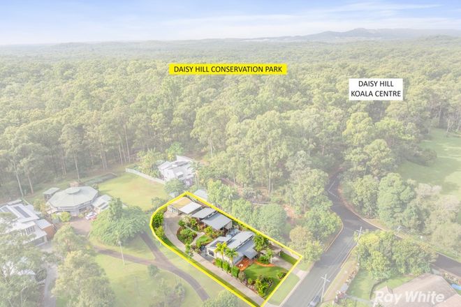 3 Lawnton Street Daisy Hill 4127 - Image 6