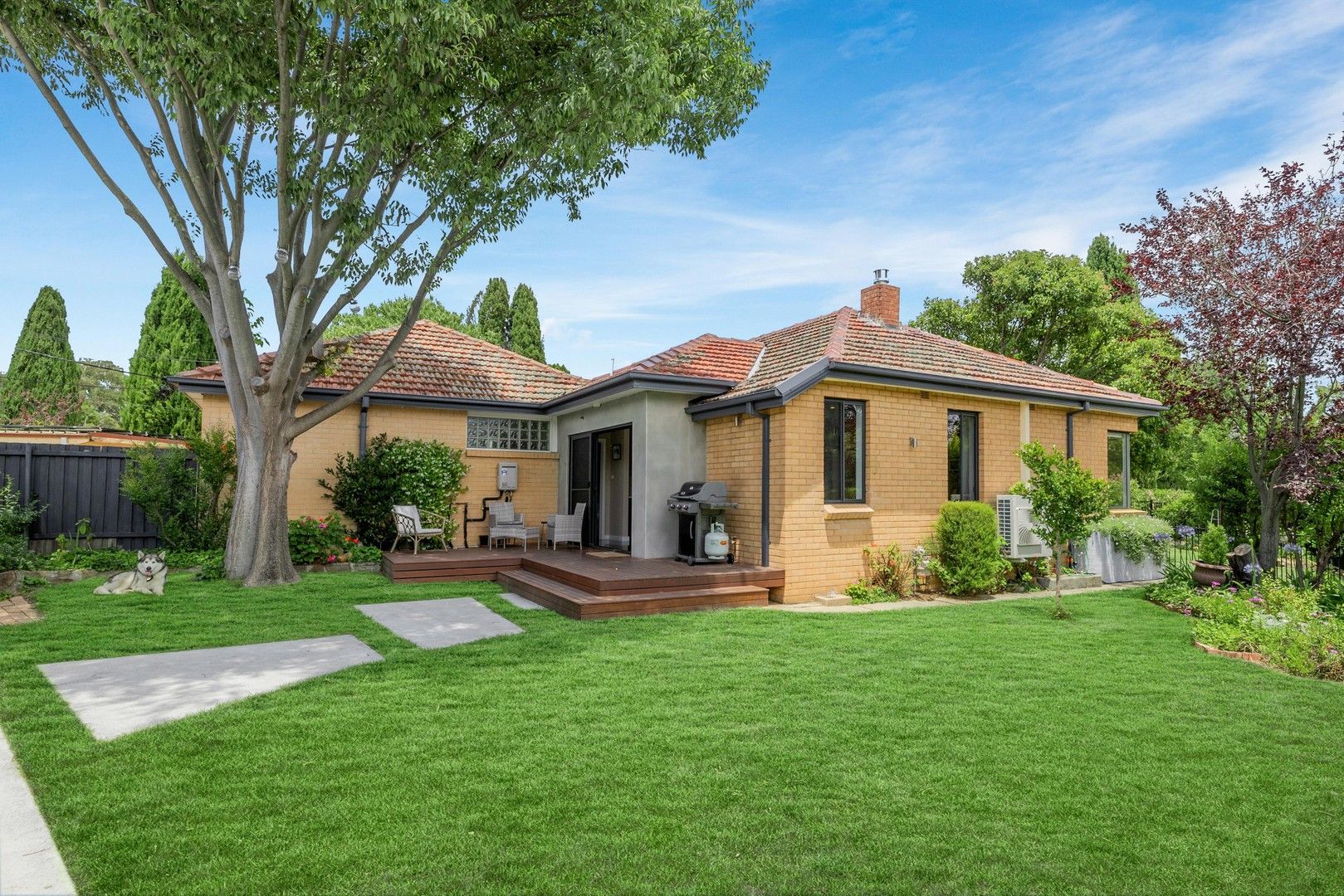 6 Cowper Street, Ainslie ACT 2602 Townhouse For Rent Domain