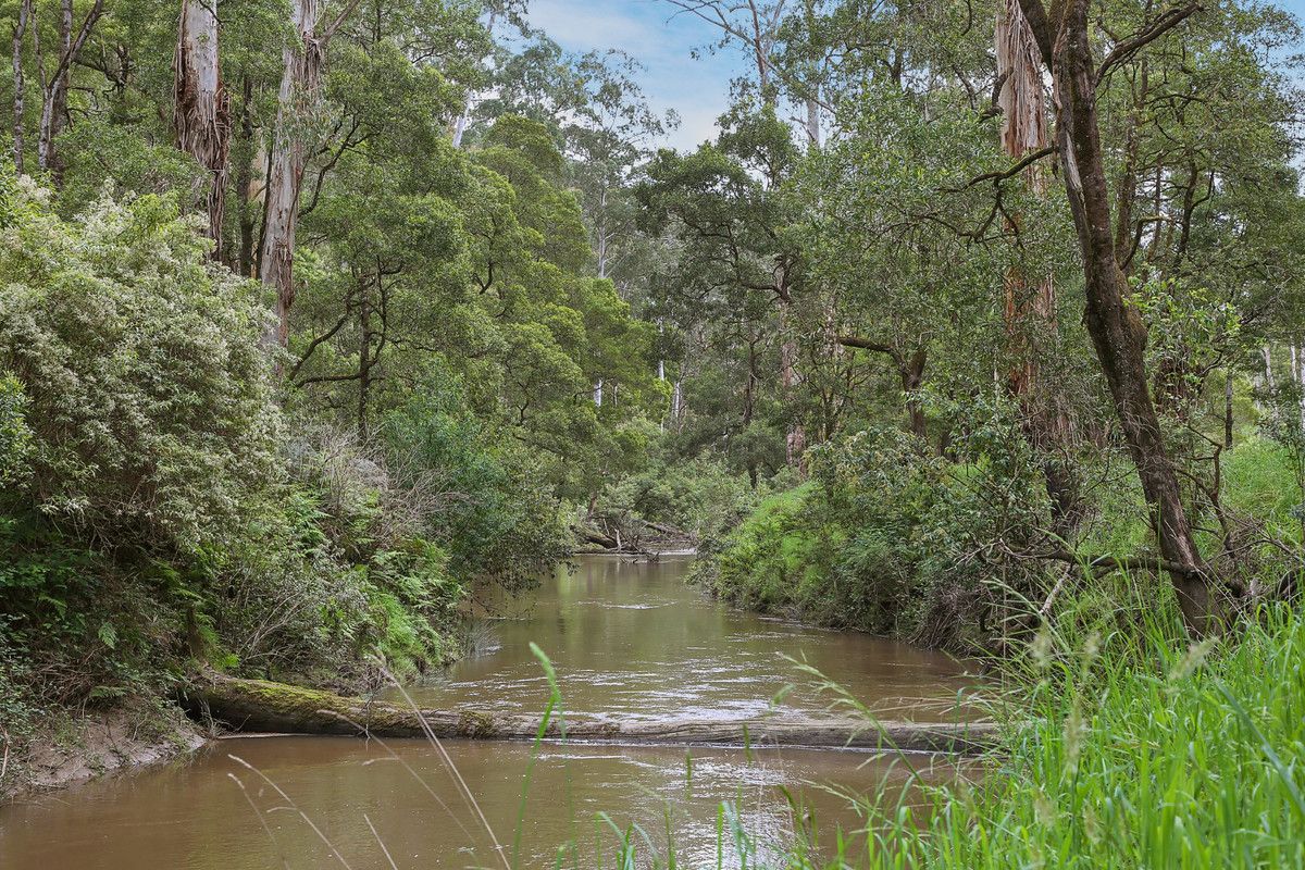 1699 Carlisle River Road, Carlisle River VIC 3239, Image 0