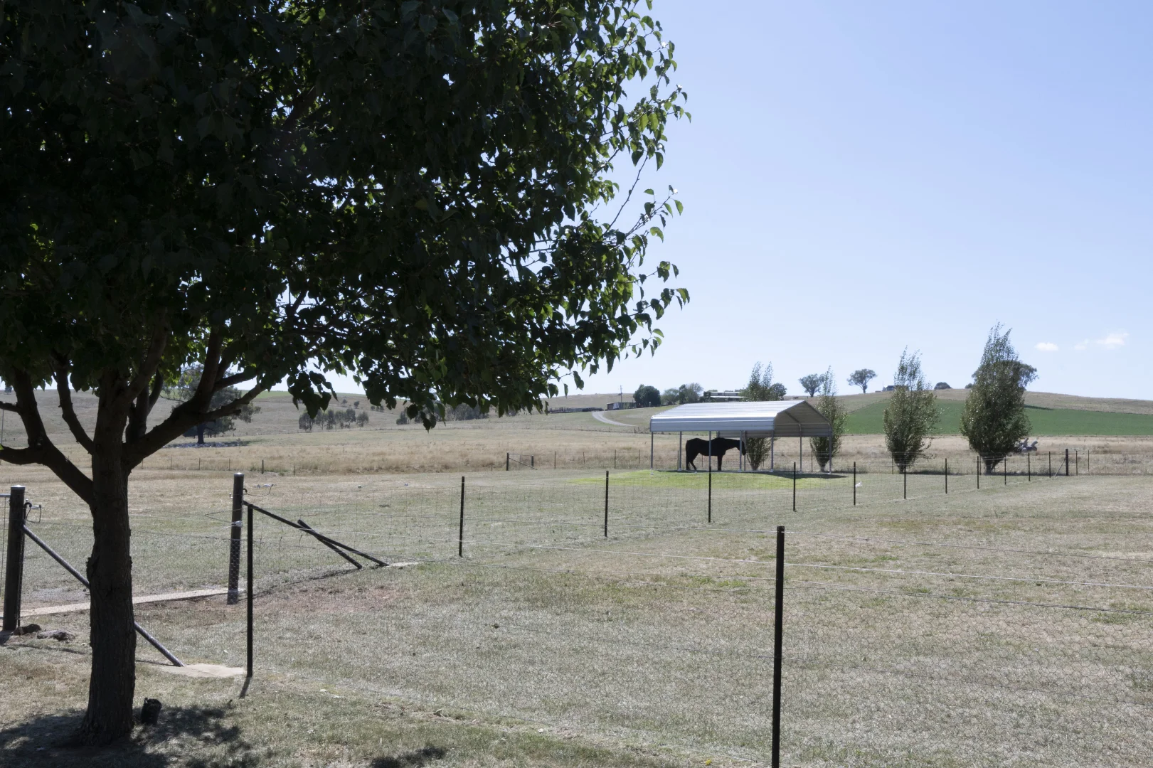 Additional image 35 of 3470 Cargo Road, Orange NSW 2800