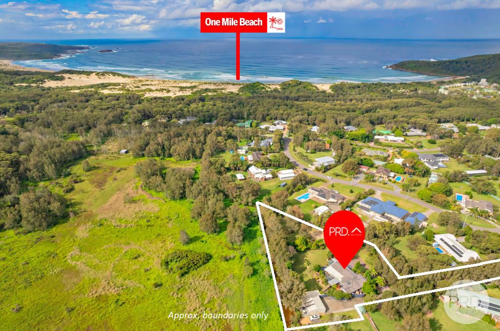 16 Melaleuca Drive, One Mile NSW 2316, Image 1