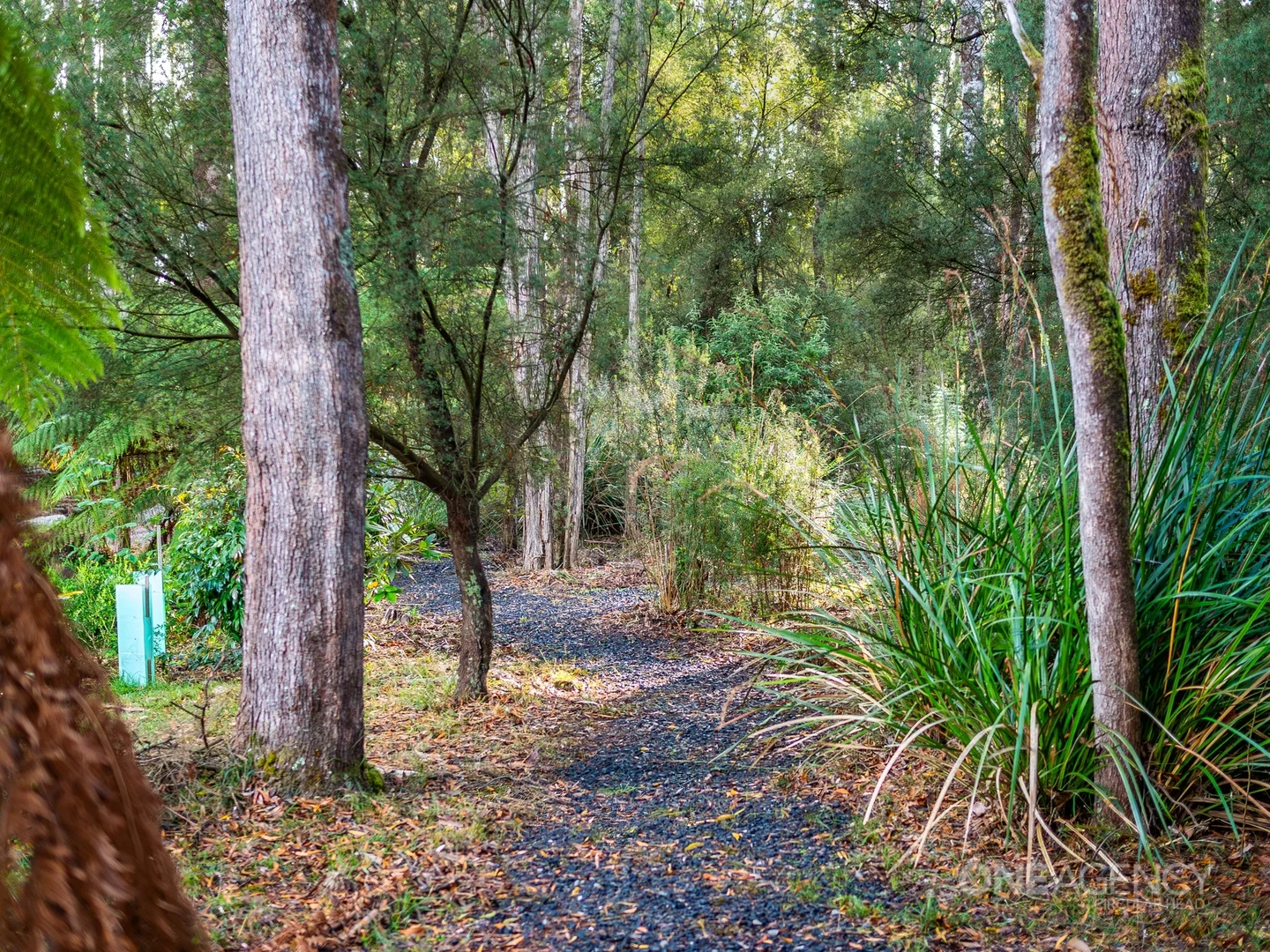 Additional image 35 of 22 Tierneys Road, Mengha TAS 7330