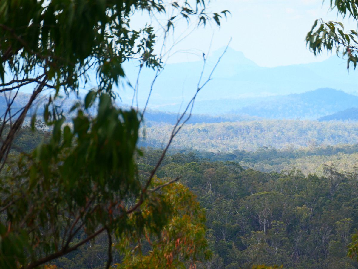 201 Bellbird Road, Drake NSW 2469, Image 1