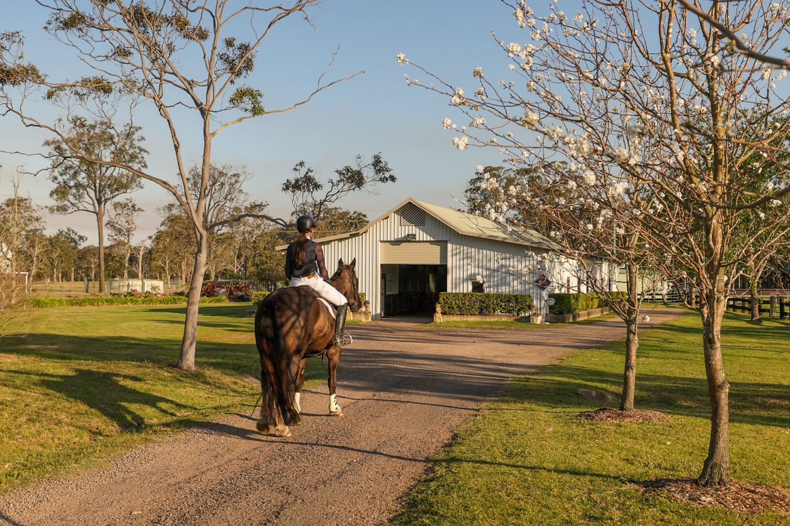 86 Brandy Hill Drive, Brandy Hill NSW 2324 House for Sale Domain