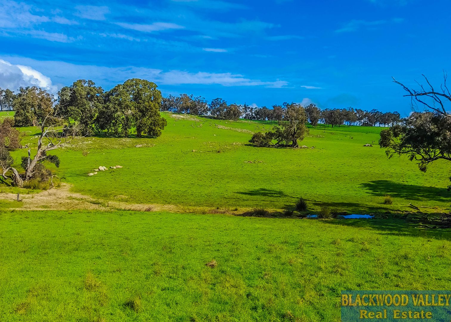 LOT PROPOSED 51 Terry Rd, Boyup Brook WA 6244, Image 2