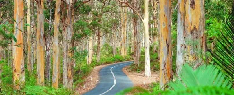 Additional image 8 of Bindoon WA 6502