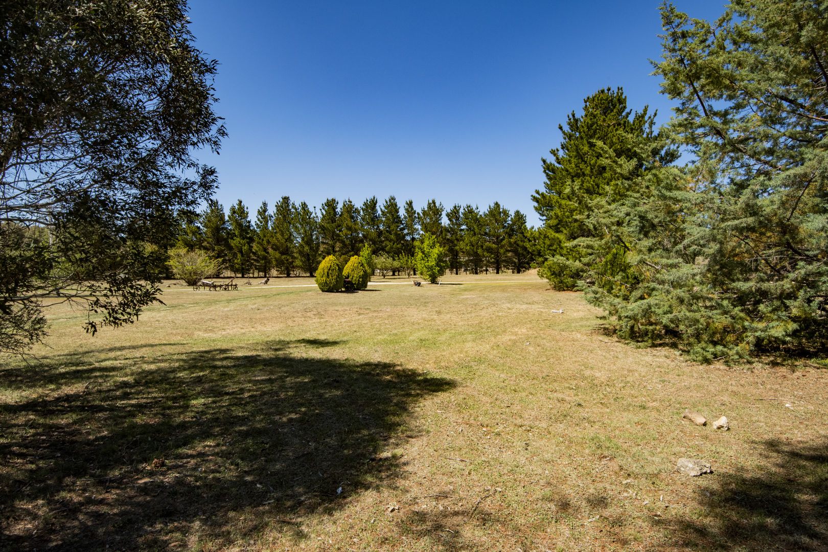 64 Pine Grove, Jindabyne NSW 2627, Image 2