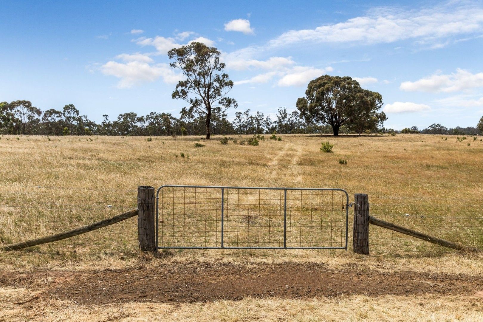 Lot 3 Stewart Road, Eppalock VIC 3551, Image 0