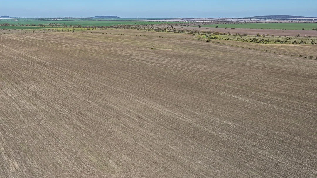 Gurley NSW 2398 photo 3