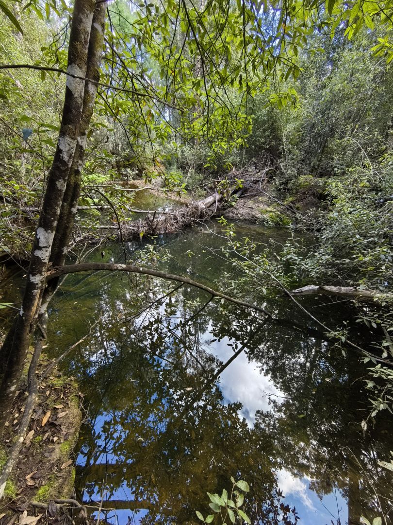 82 Branchs Creek Road, Harford TAS 7307 Vacant Land for Sale 320,000