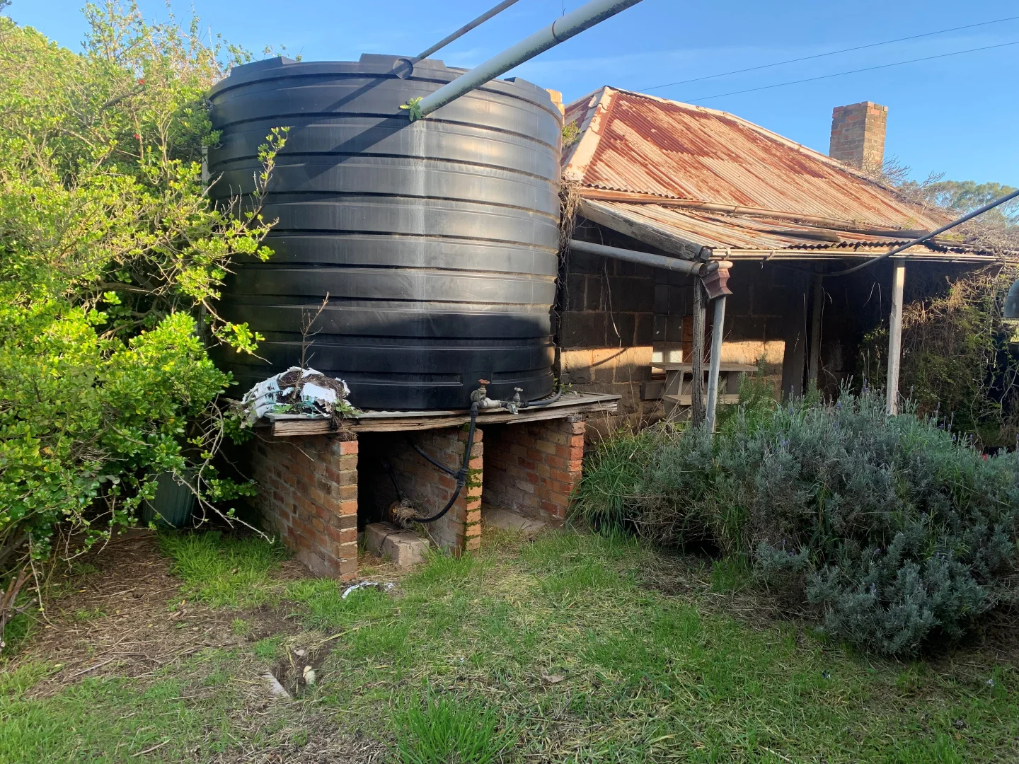 Image 4