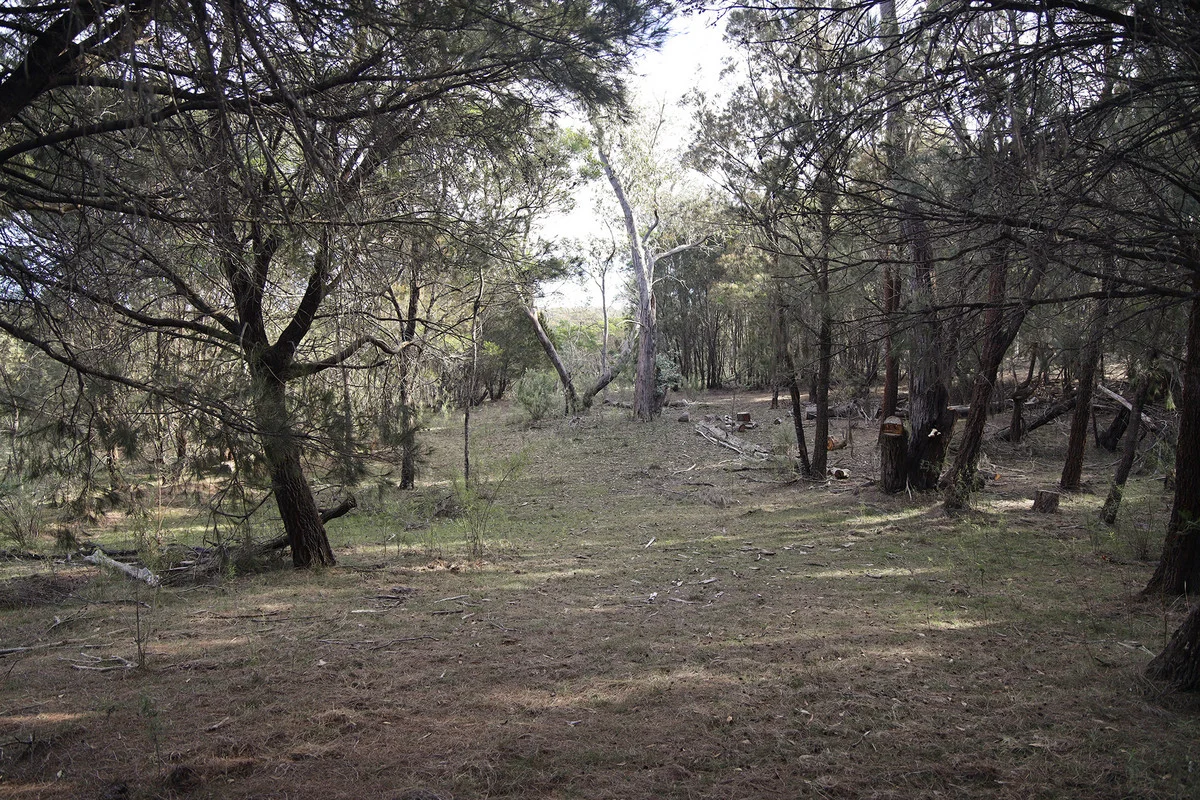 Image 11