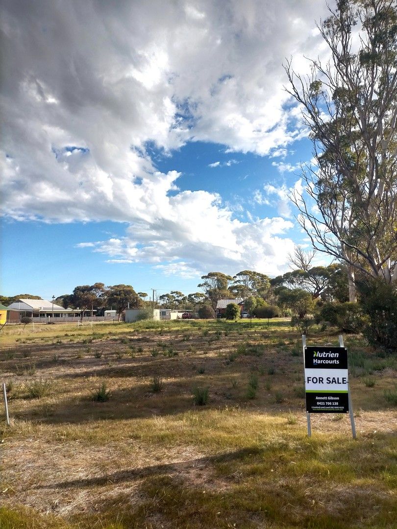 Lot 74 George Street, Doodlakine WA 6411, Image 0