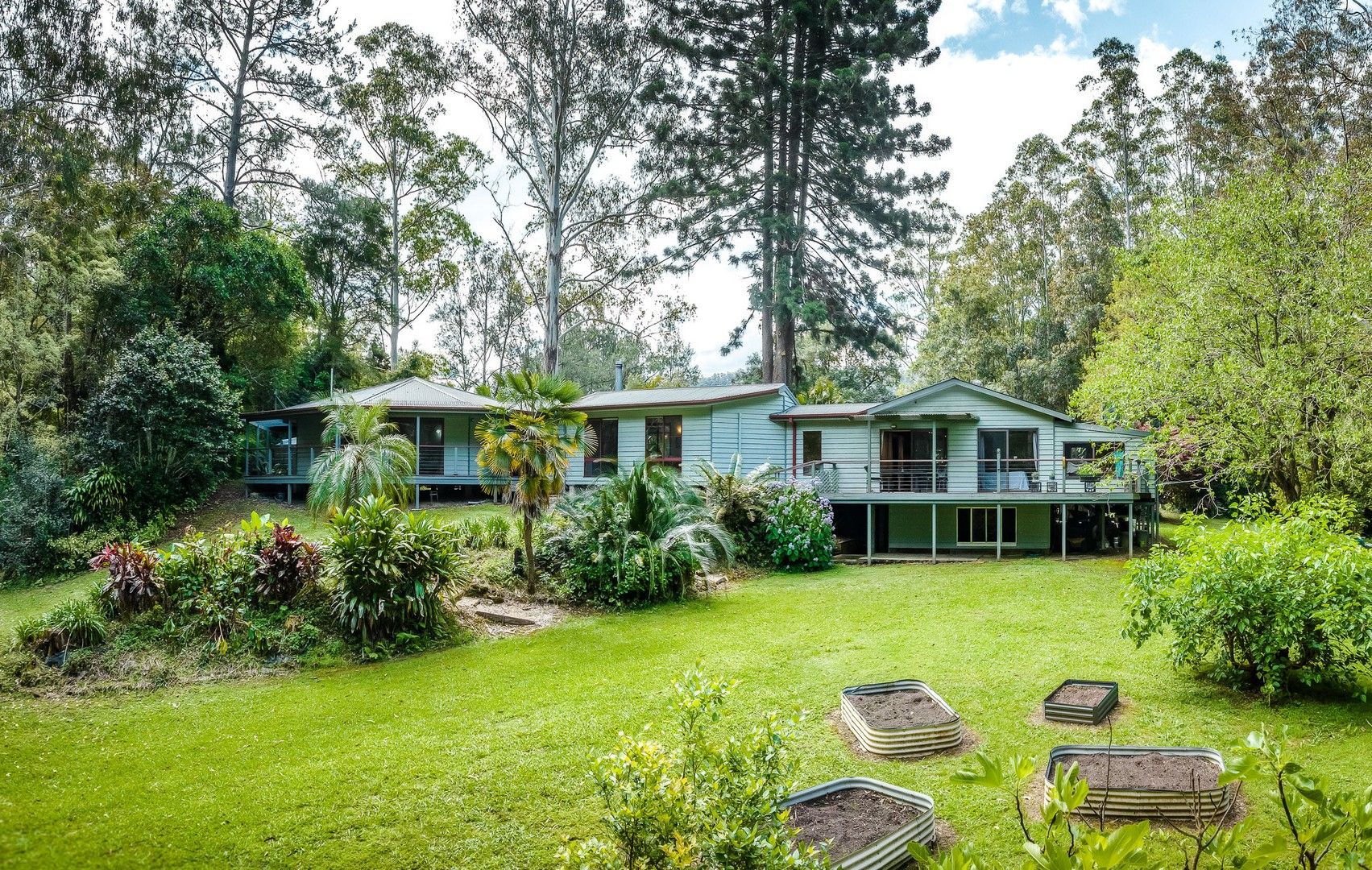 559 Kalang Road, Bellingen NSW 2454, Image 0