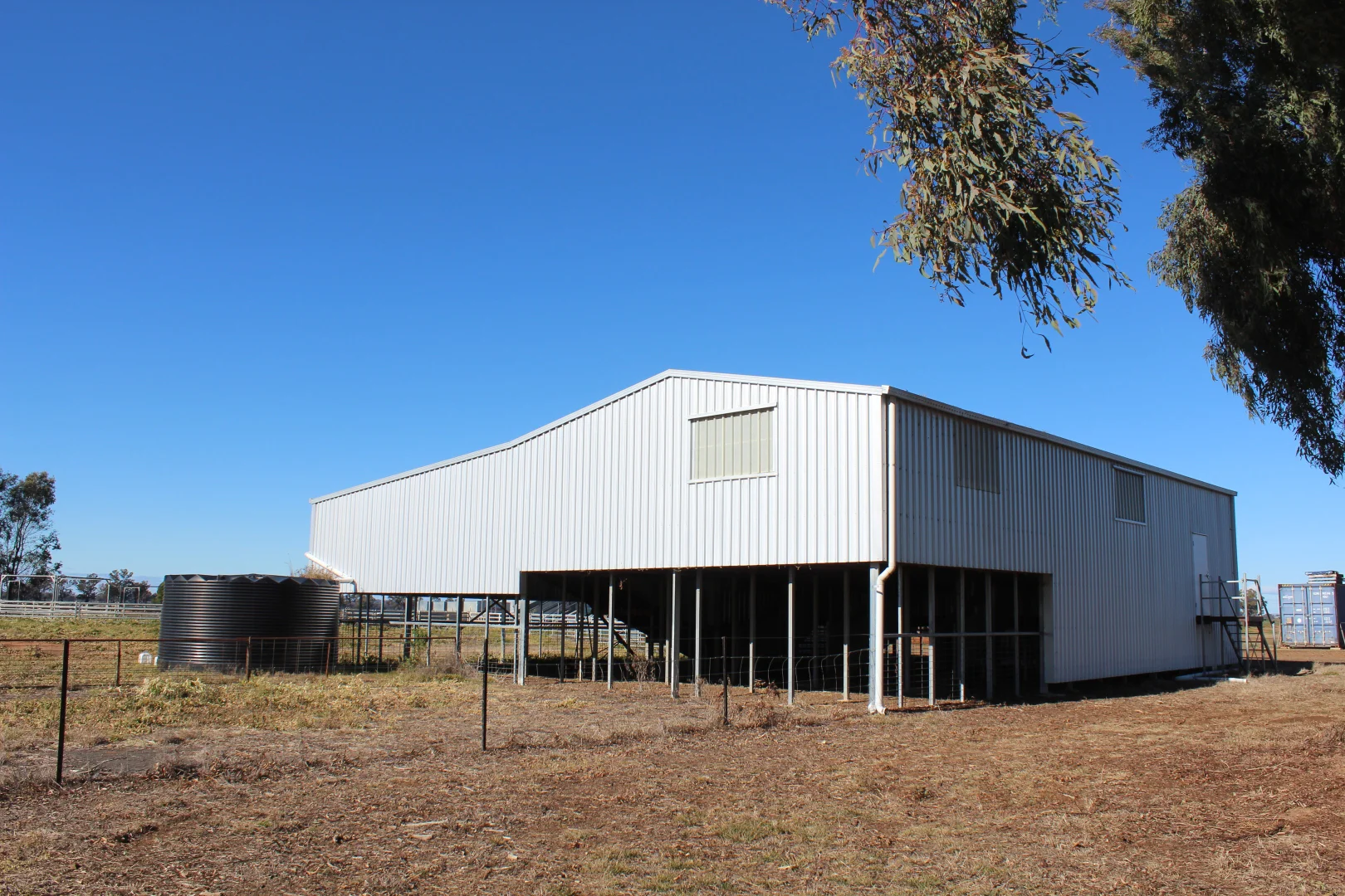 Image 19