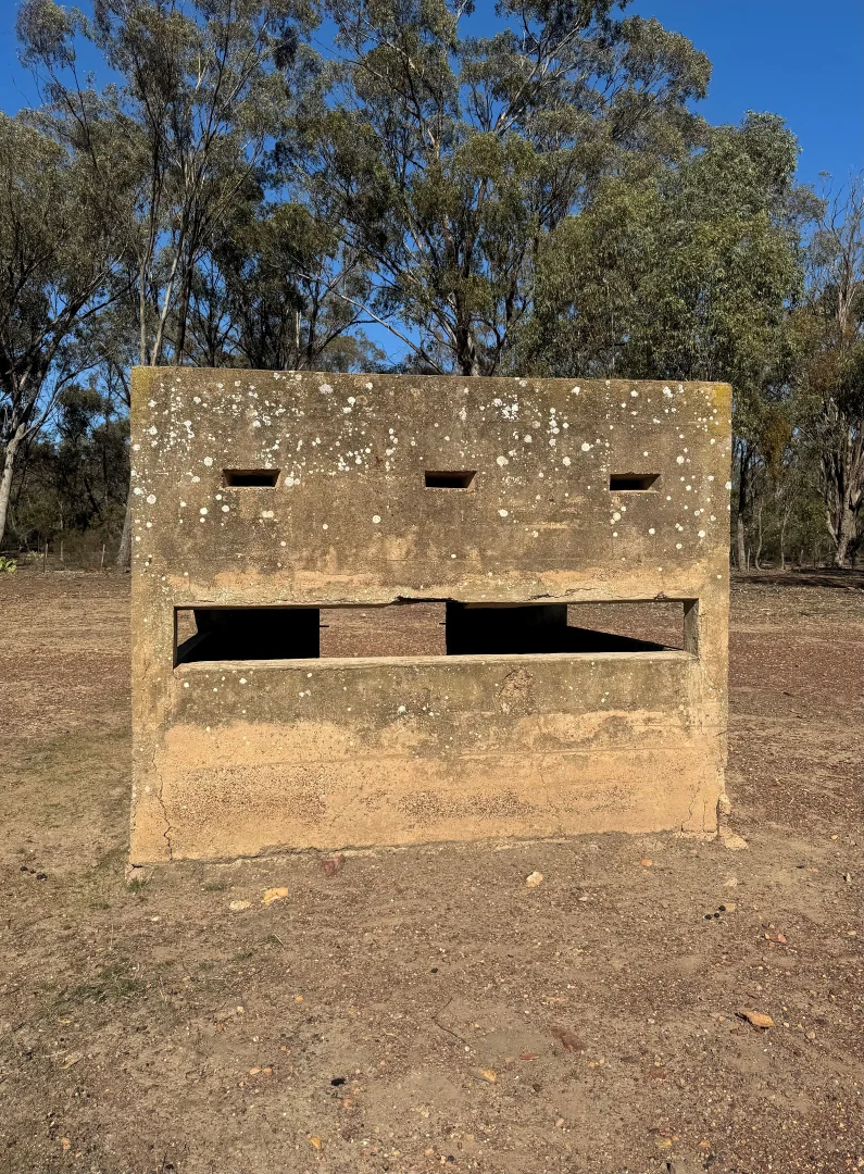 Image 3