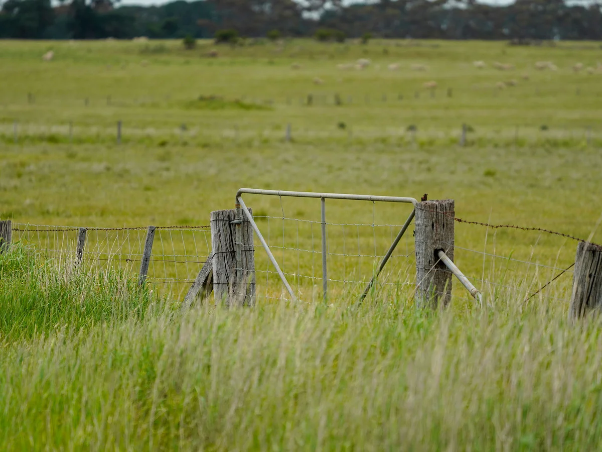 Image 11