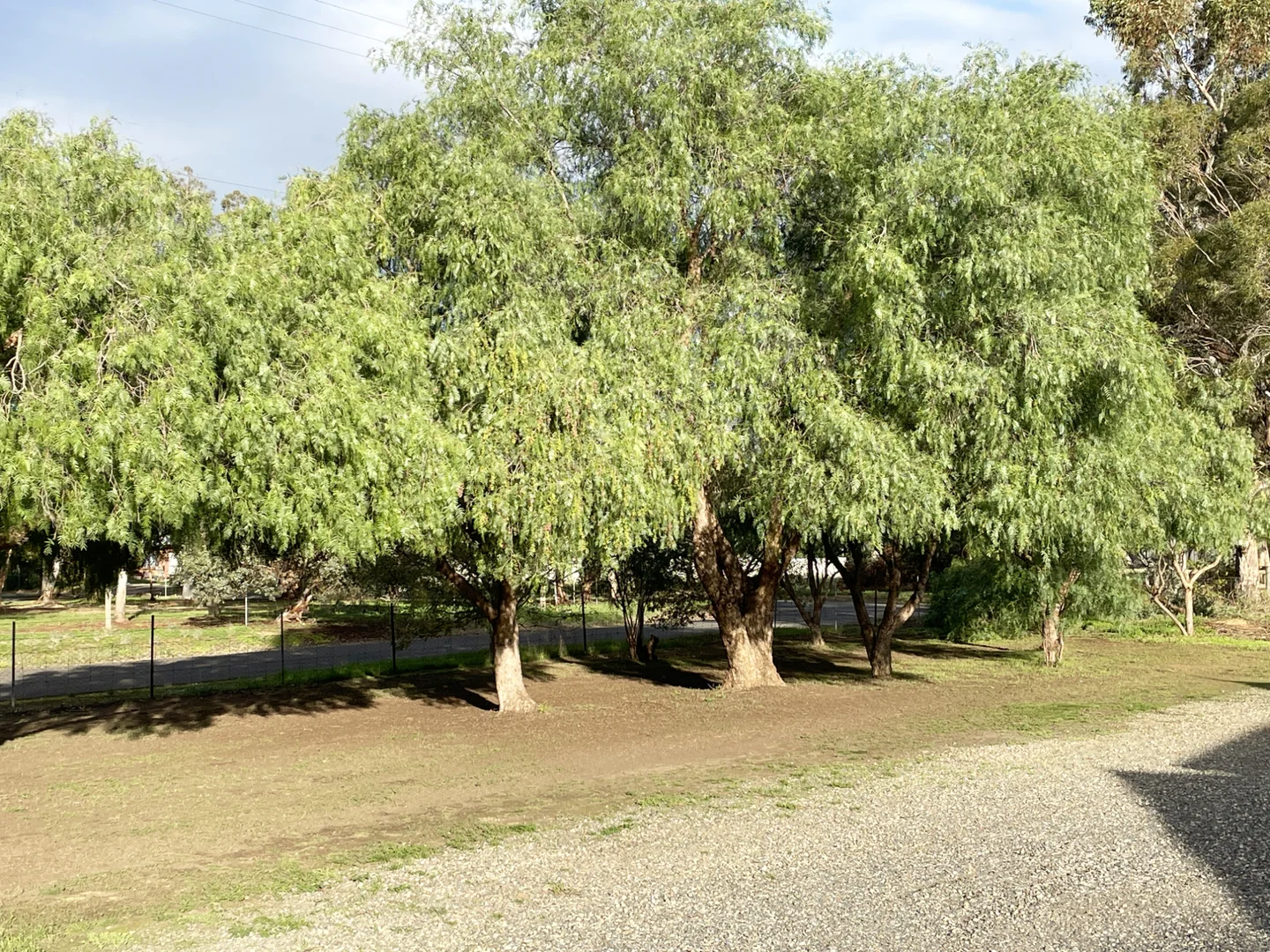 Image 21