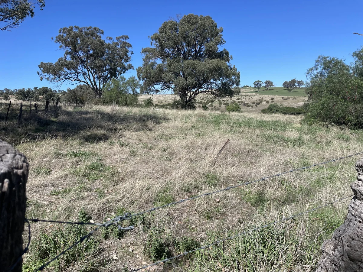 Additional image 17 of Lot 1 Noyeau Street, Woodstock NSW 2793