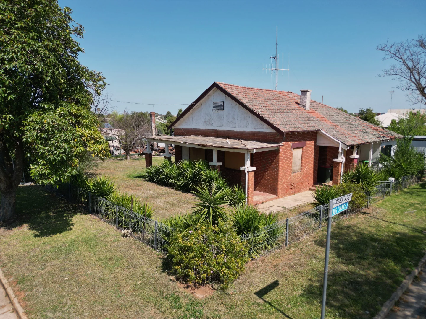 Image 11