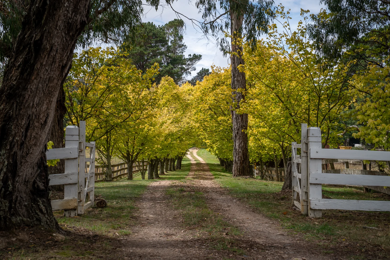 Additional image 37 of 370 Springmount Road, Oberon NSW 2787