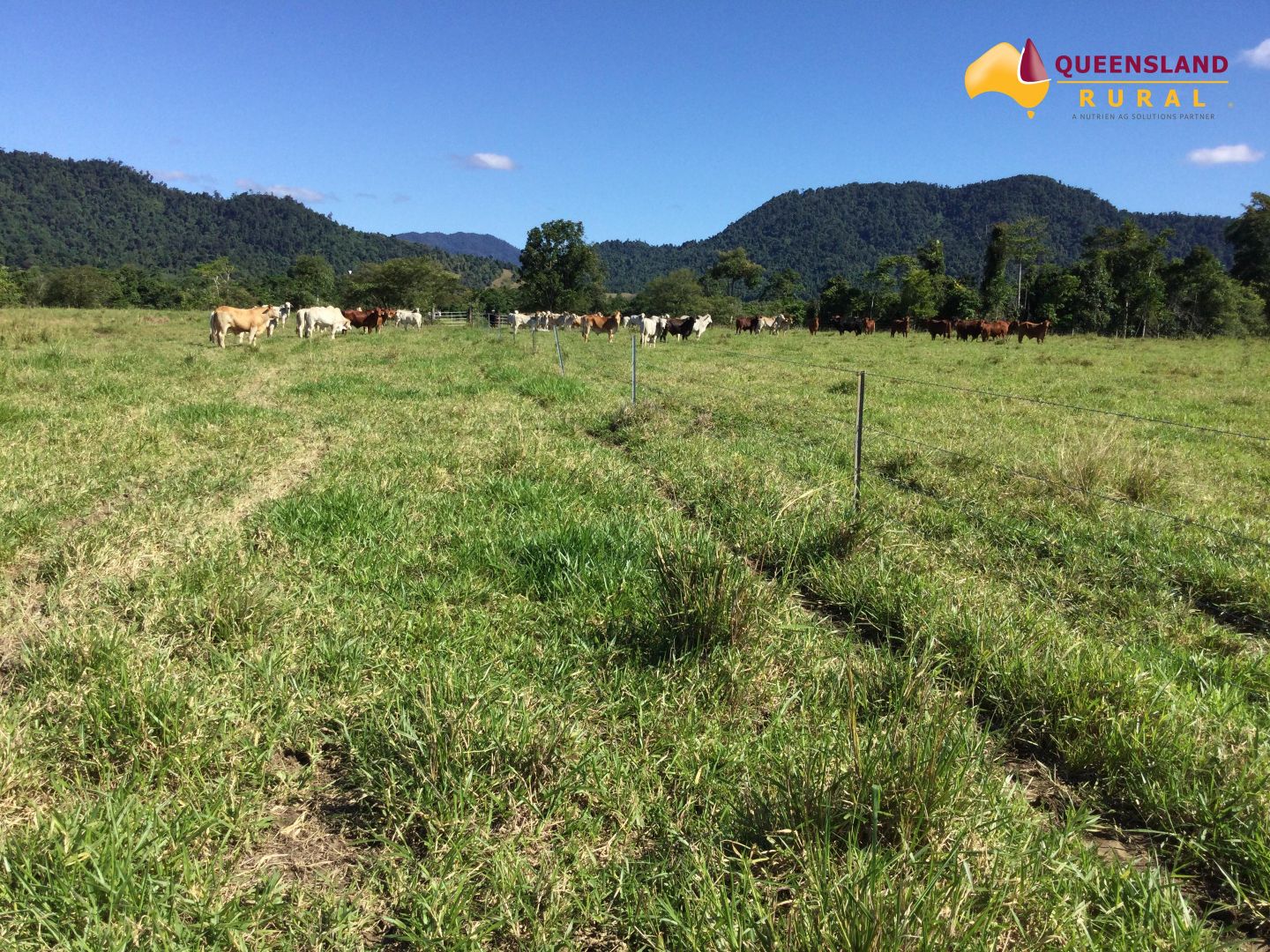 Seres Road, Mena Creek QLD 4871, Image 1