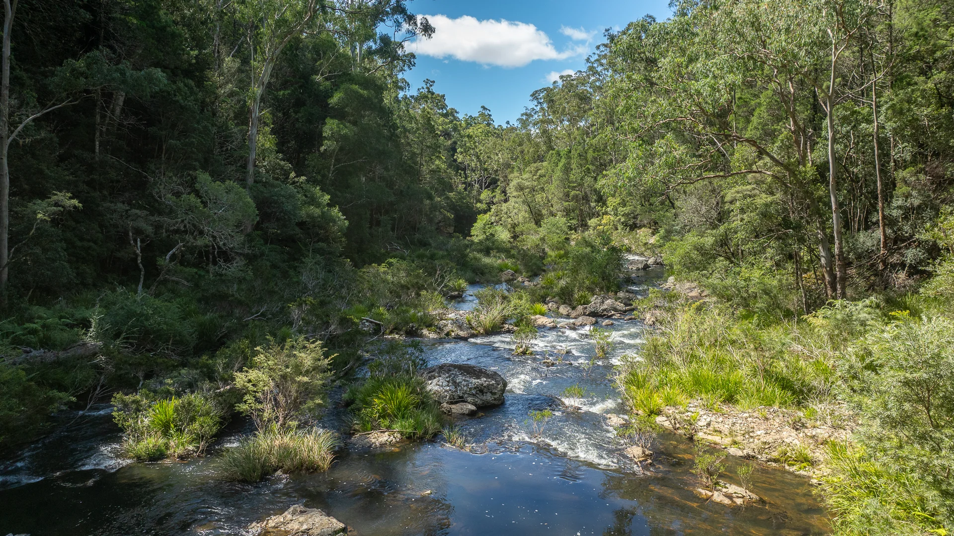 Image 18
