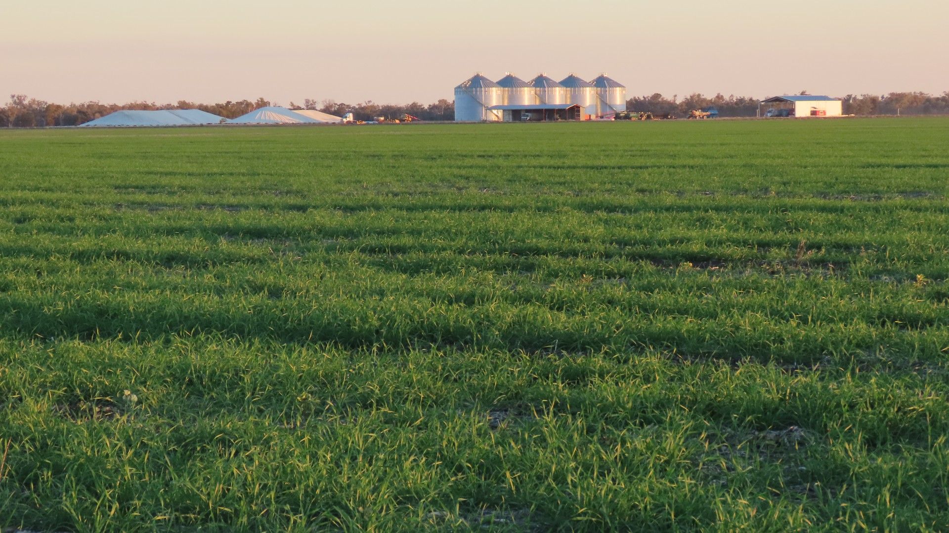 'Welltown' Barwon Highway, Goondiwindi QLD 4390, Image 0