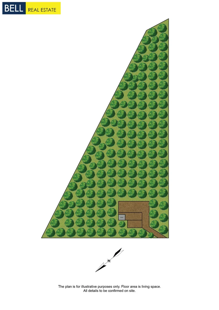 Image 15
