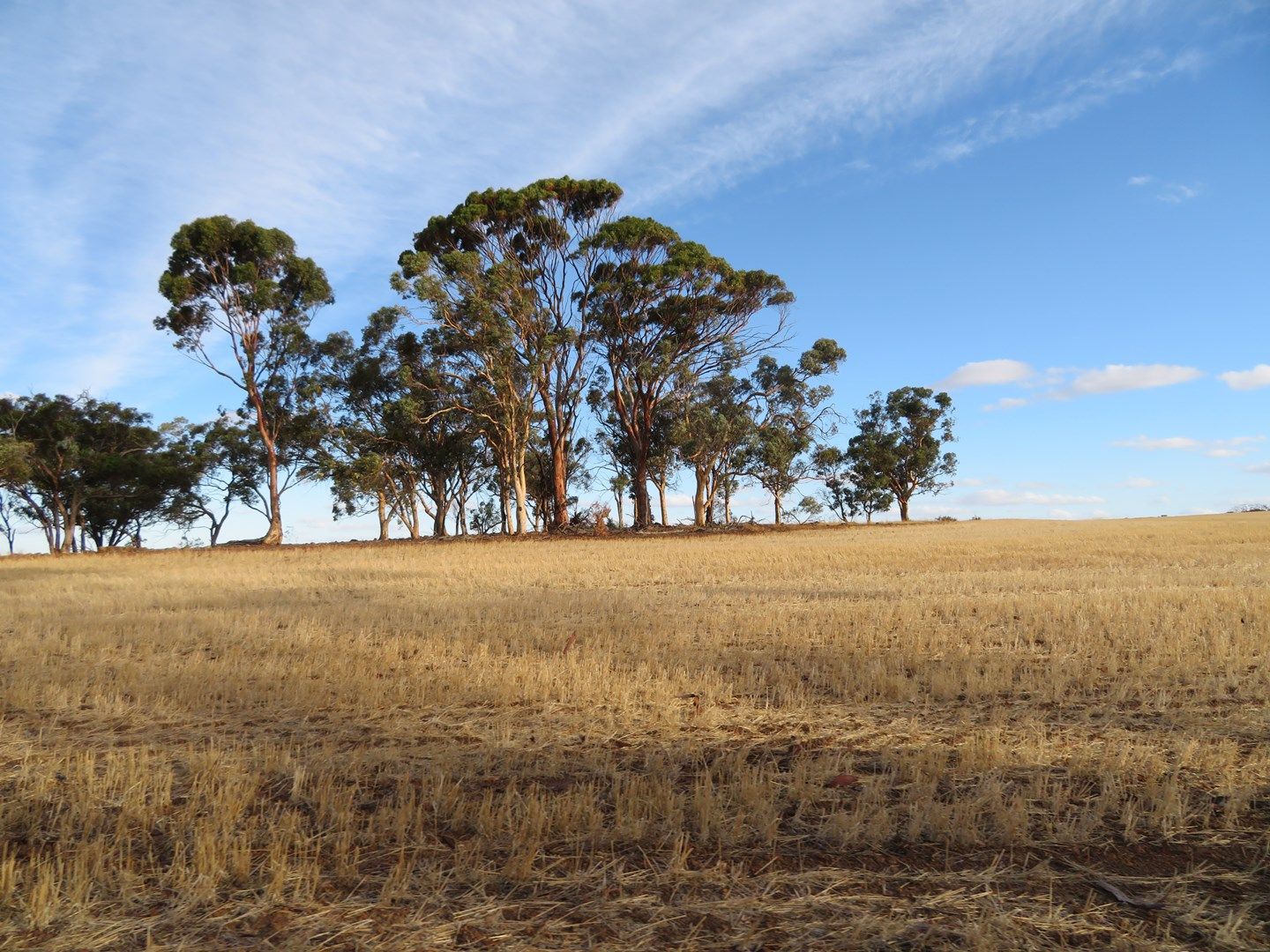 Lot 10352 Cunderdin-Quairading Road, Cunderdin WA 6407, Image 0