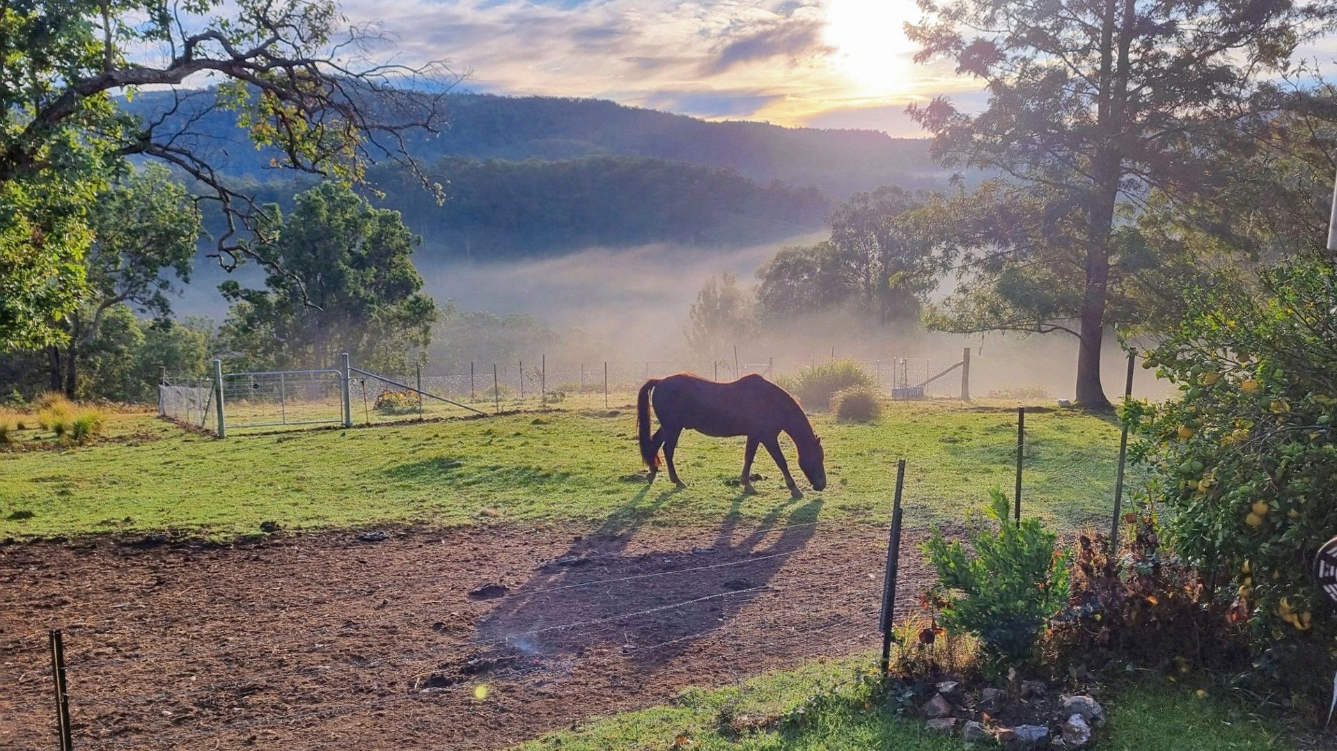 "Littlehawk" 253 Eaglehawk Trail, Yarrowitch NSW 2354, Image 1