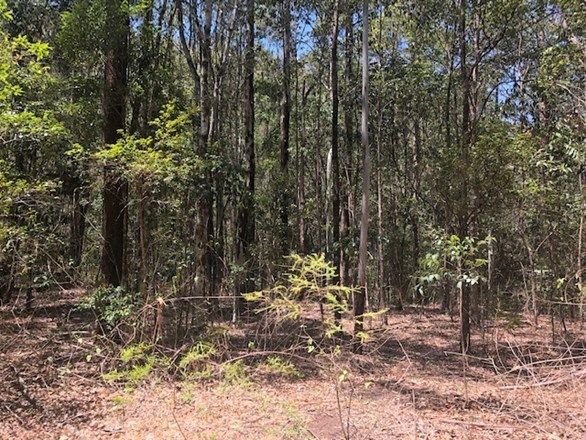 412 Murray Scrub Rd, Kyogle NSW 2474, Image 1