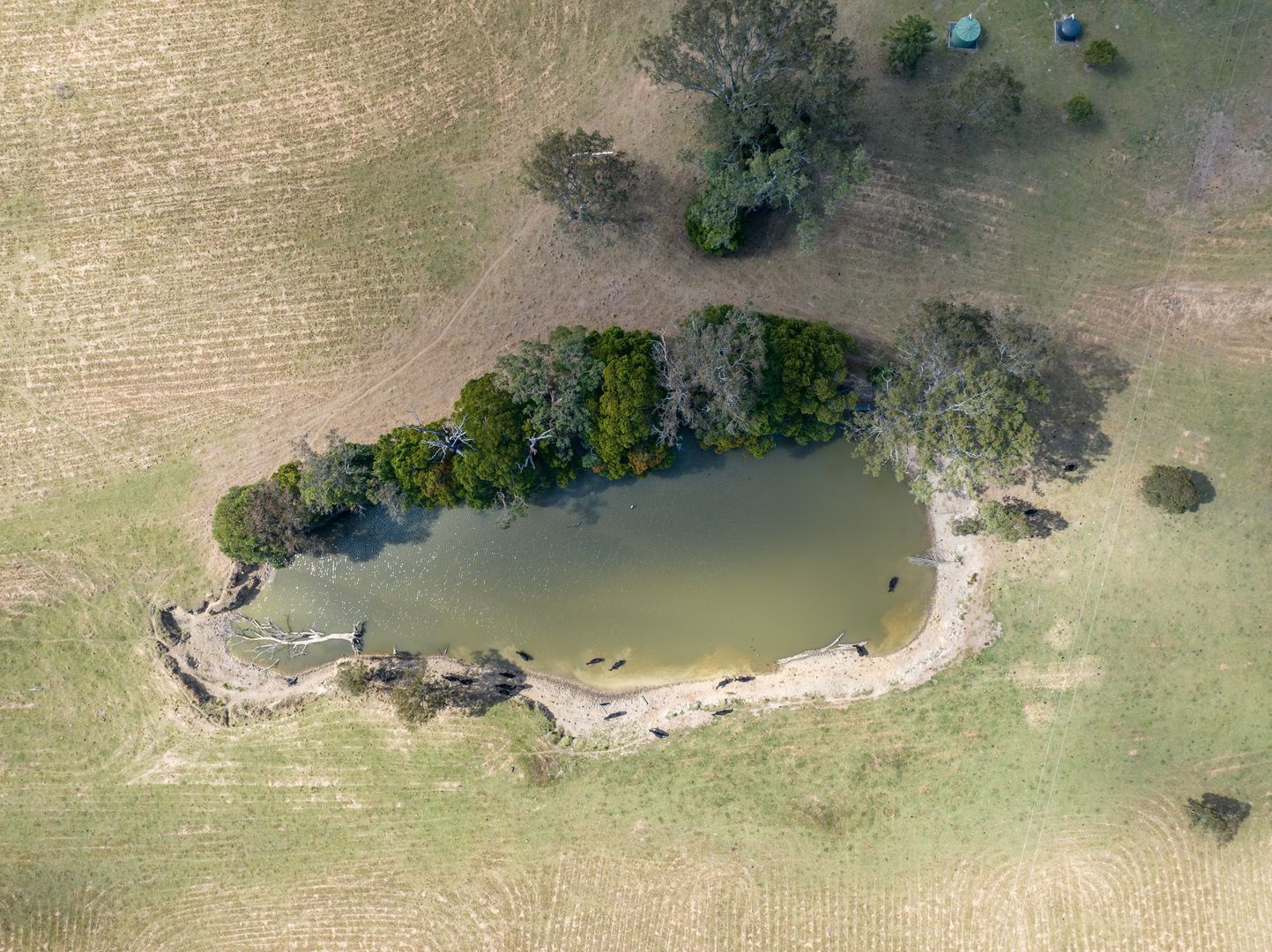 Glenreagh NSW 2450 Farm for Sale 1,750,000 Domain