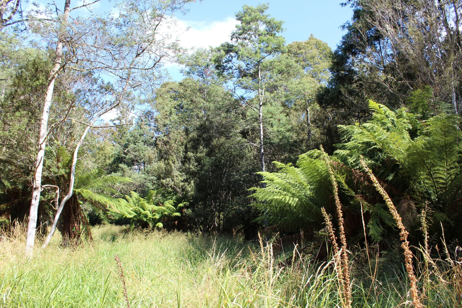 Additional image 7 of 188 Bassetts Road, Calder TAS 7325