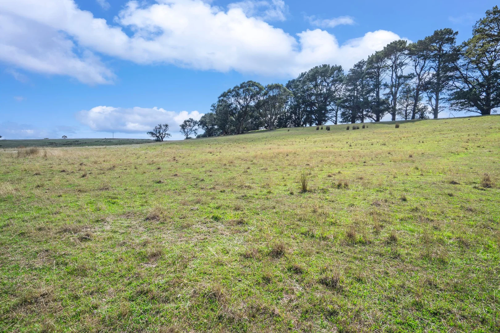 Additional image 16 of 2770 Woodhouselee Road, Laggan via, Crookwell NSW 2583