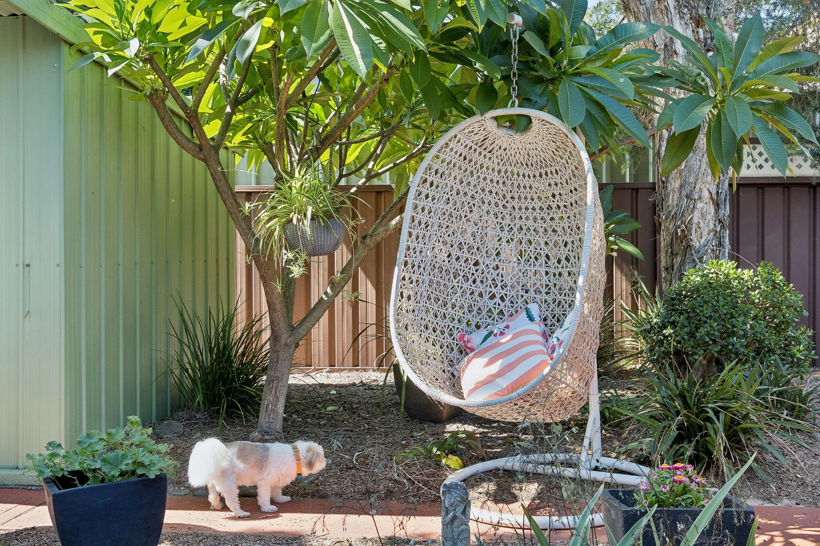 Additional image 10 of 36 Macarthur Road, Elderslie NSW 2570