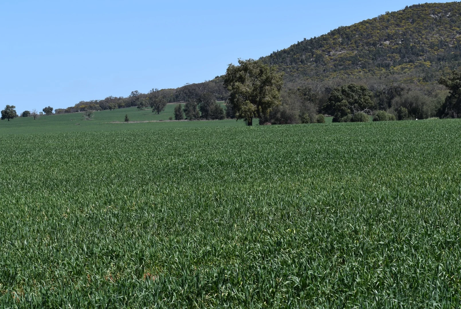 120 Ganantagi Road, Yarrabandai NSW 2875